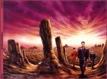 THE MAZE IN THE MIRROR